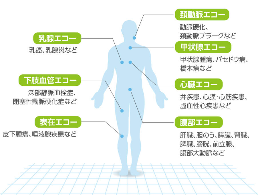 病院 クリニックの超音波検査をサポート Pds 超音波検査支援サービス